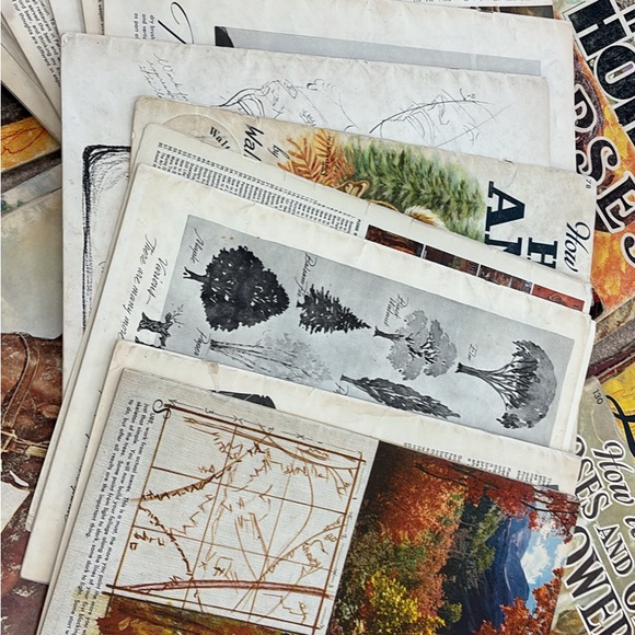 Walter Foster Step-by-Step Drawing Book Collection - Picture 5 of 5